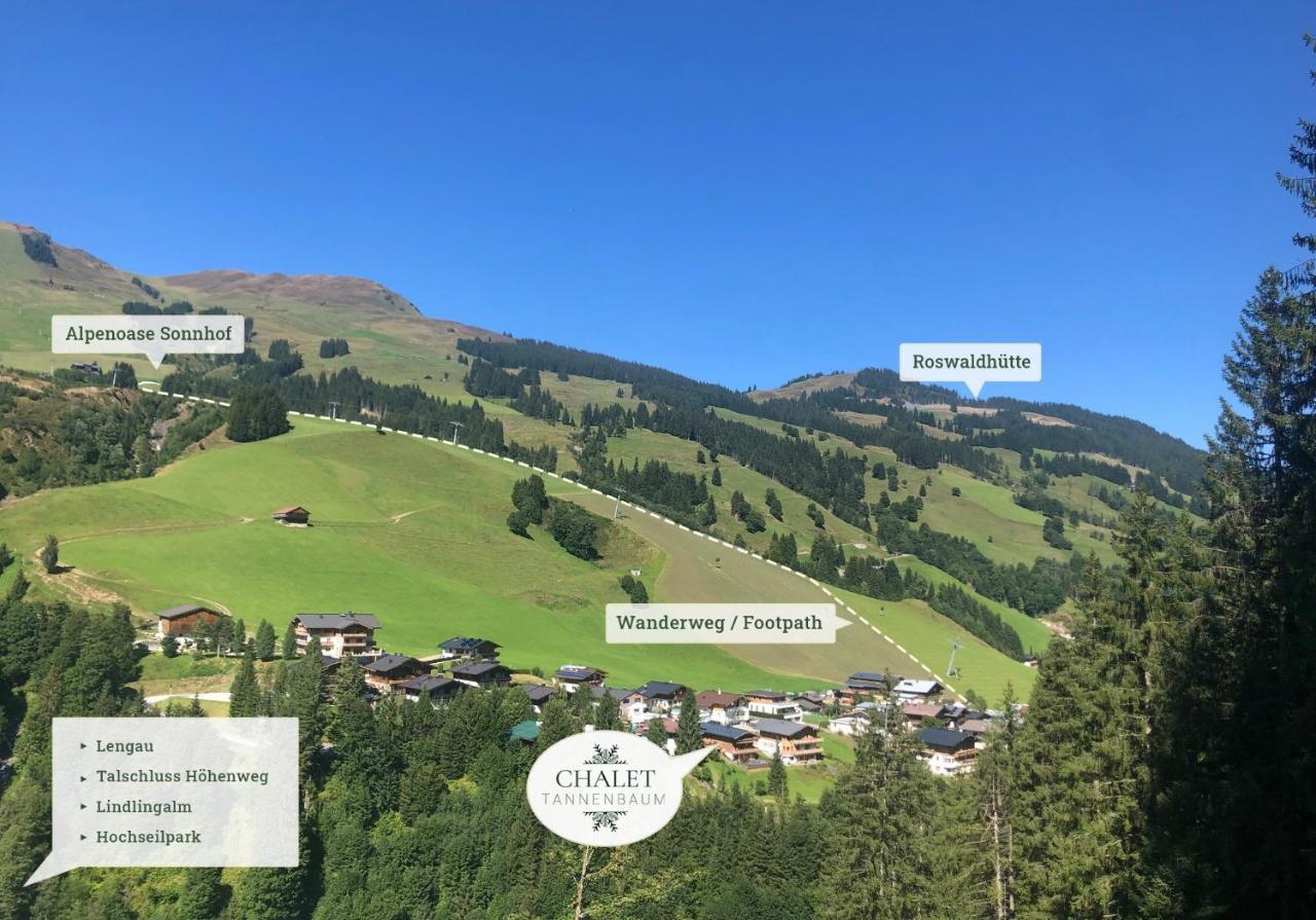 Chalet Tannenbaum Saalbach-Hinterglemm Extérieur photo