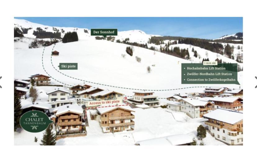 Chalet Tannenbaum Saalbach-Hinterglemm Extérieur photo